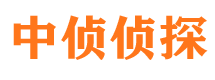 元宝市私家侦探